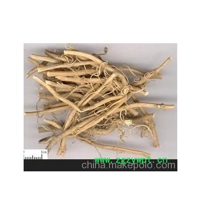 批发零售中药材 白前用于肺气壅实，咳嗽痰多，胸满喘急。