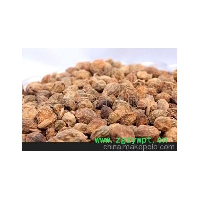 批发供应 益智仁 全球干货专供 按件起批