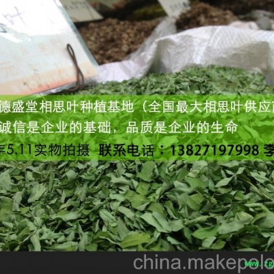 供应德盛堂 相思叶