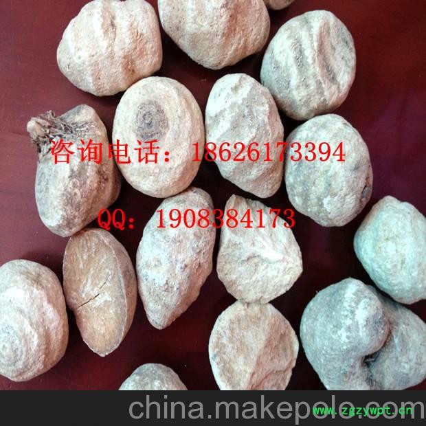 供应建泽泻 药用泽泻 中药材泽泻 中药泽泻 药材泽泻