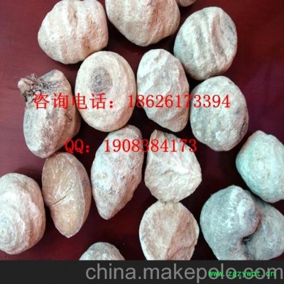 供应建泽泻 药用泽泻 中药材泽泻 中药泽泻 药材泽泻