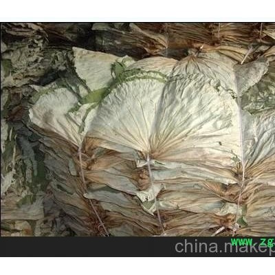 中药材荷叶  绿色优质荷叶  无霉荷叶 咨询电话