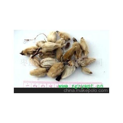 批发供应 辛夷（毛桃） 全球干货专供 按箱起批