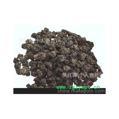 中药材批发　供应中草药批发　猫爪草