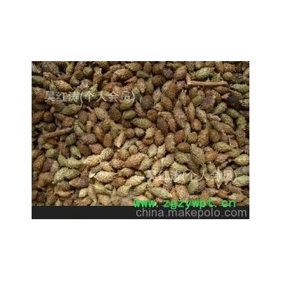 中药材批发　苍耳子