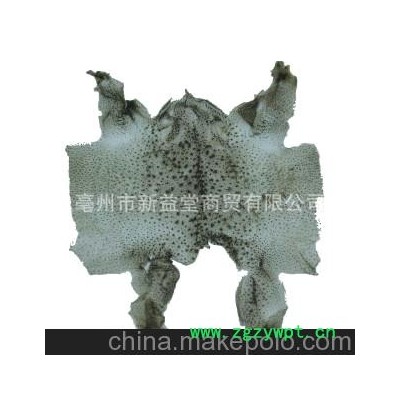 产地直销 供应优质中药材蟾衣