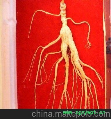 无锡野山参市场价格图4