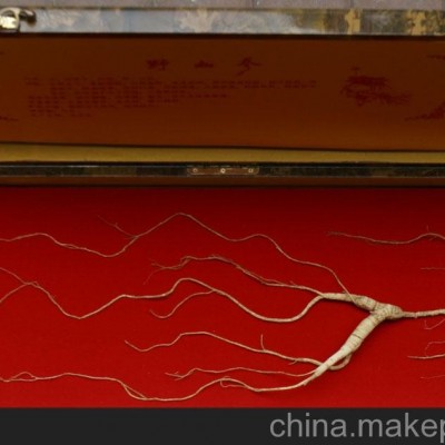 无锡野山参市场价格