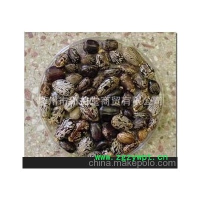 产地直销 供应优质中药材蓖麻子