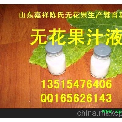 无花果白色汁液 富含蛋白酶