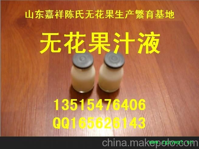 无花果白色汁液 富含蛋白酶图3