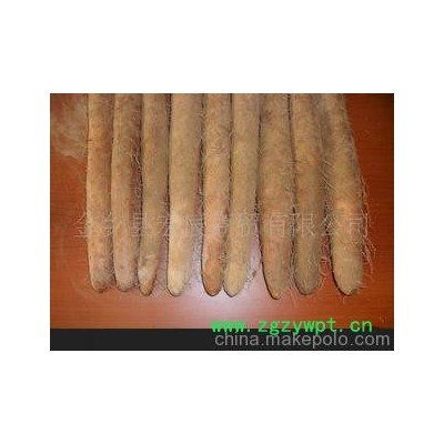 金乡县宏辰商贸有限公司供应日本长白红斑山药莱坞