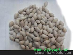 中药材&mdash;&mdash;白果