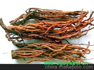 优质中药材-- 丹参