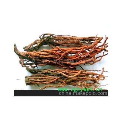 优质中药材-- 丹参