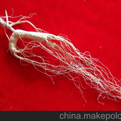 无锡山参批发价格