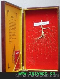 无锡山参批发价格图2