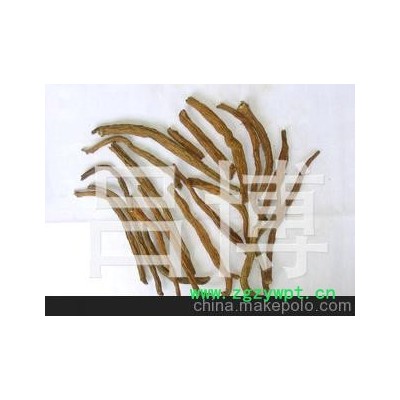 批发 中药材、中药饮片 续断 四川