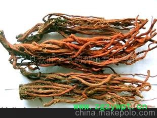 优质中药材--山东 丹参原药材、中药饮片