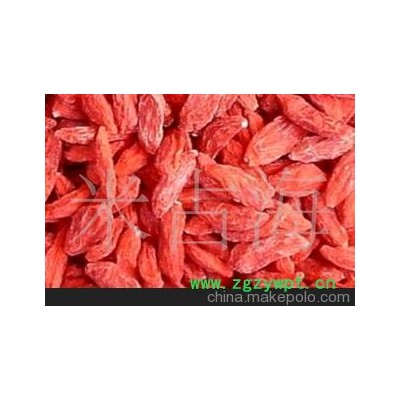 宁夏中宁保健枸杞480粒/50克