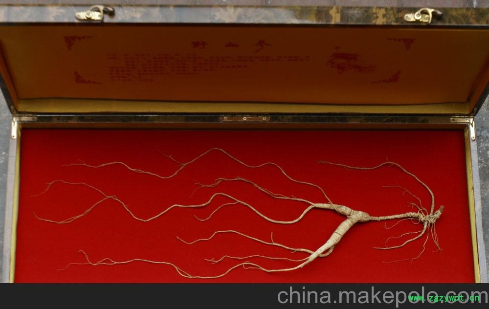 无锡山参市场报价图4