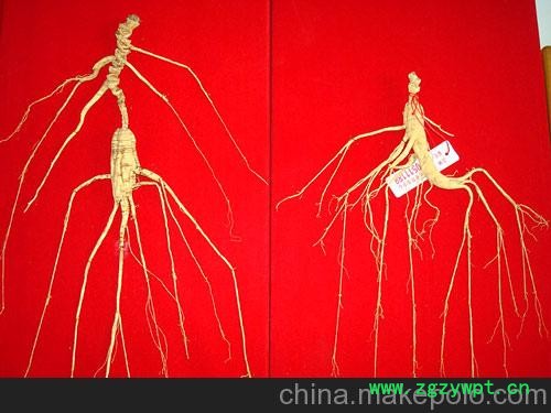 无锡山参市场报价图2