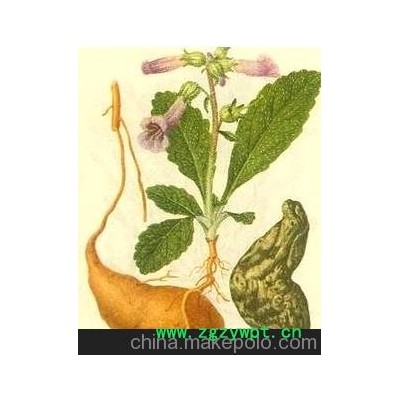 怀地黄/熟地黄/九制熟地/四大怀药