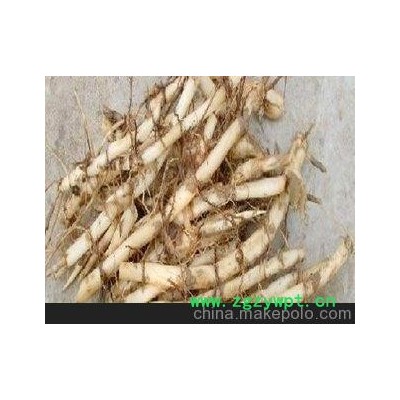 刚挖的芦苇根, 芦竹根,新鲜的 可以治病 低价