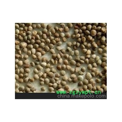 紫苏子；各种中药材、中药饮片、冷被中药材