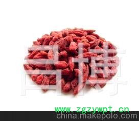 批发 中药材、中药饮片 宁夏枸杞子