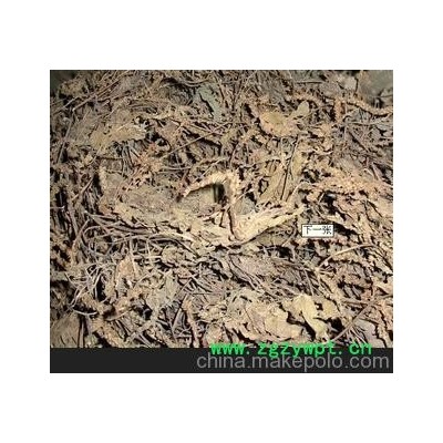 车前草；各种中药材、中药饮片、冷被中药材