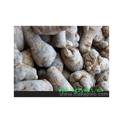 批发零售云南产中药材 三七 能化瘀止血，活血止痛。