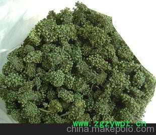 批发供应降血压三七花