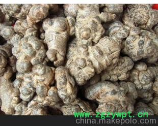 代售 正宗高品质 文山三七 信誉良好