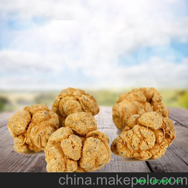 供应伊人府云南20头补血补气云南文山纯三七价格图2