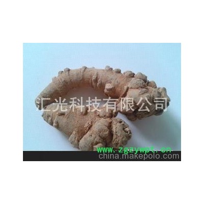 云南文山三七，花，根茎