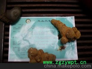 原生态文山三七20头