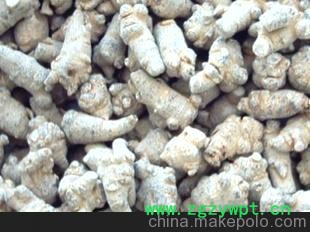 低价批发云南文山特产名贵药材三七（200头）