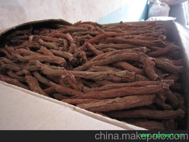 优质丹参种苗/丹参种苗价格/新型丹参种苗 寿光凯润图1