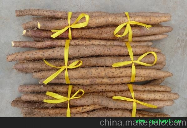 供应铁棍山药 正宗铁棍山药 铁棍山药价格图3