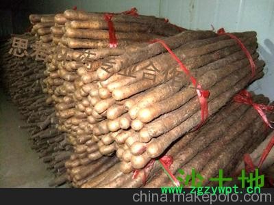 供应铁棍山药 正宗铁棍山药 铁棍山药价格图4