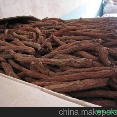 丹参种苗供应，丹参种苗价格，丹参种苗批发 寿光凯润