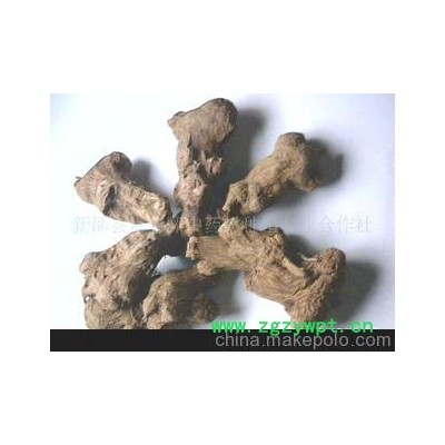 白术10吨，量大从优