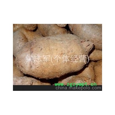 大量供应-- 宜昌鲜天麻 优质天麻 鲜天麻批发 鲜天麻 产地直销