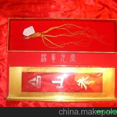 批发供应野山参