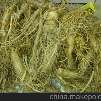 辽阳十年林下参价格_辽阳林下参种子价格 长寿不老参