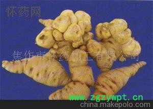 生地黄 四大怀药 鲜地黄 生地黄功效 地黄