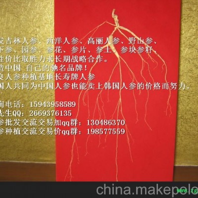 广东人参出产批发_广东人参党参价格 广东长寿人参