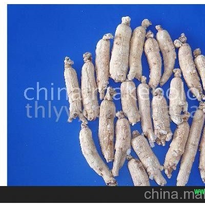 人参系列产品－－生晒参(图)