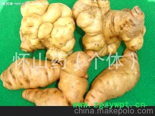 补血圣品~怀地黄~~生命中不可缺少的元素